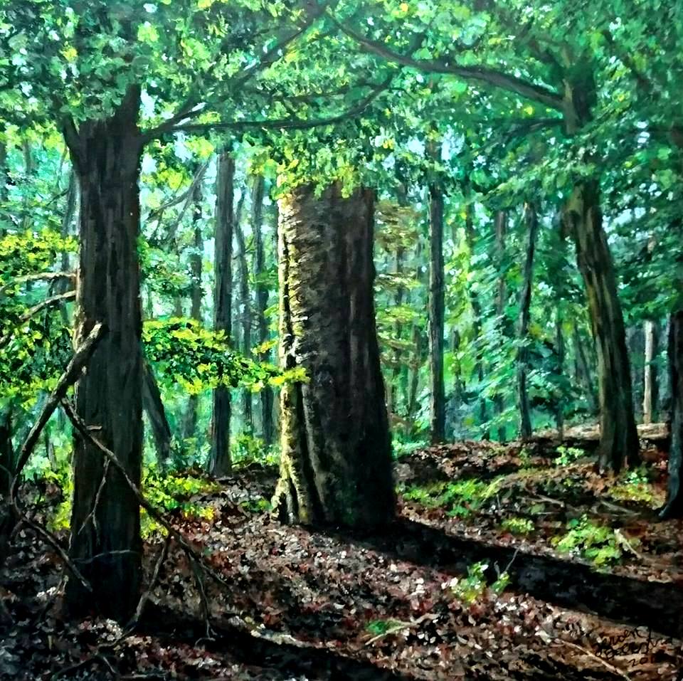 kunstgalerie, galerie, kunstverkoop, Groningen, Veendam, stadskanaal, Winschoten, Delfzijl, Scheemda, Haren, Zuidlaren, Oude Pekela, Nieuwe Pekela, Zuidbroek, Drenthe, Emmen, Assen, Coevorden, Leek, Drachten, Leeuwarden, Appingedam, Slochteren