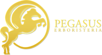 ERBORISTERIA PEGASUS PEGASUS - Logo