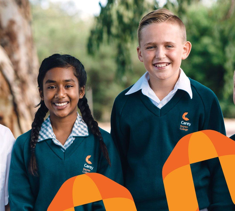 Carey Website Design and Marketing Support