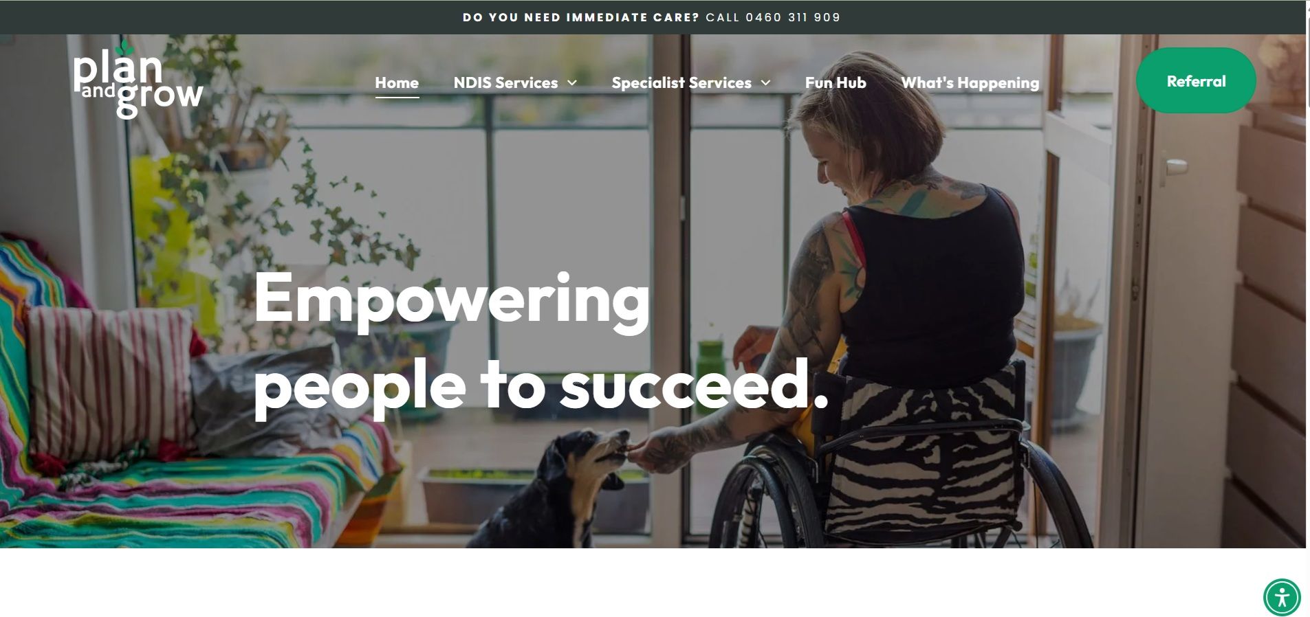 NDIS Website Examples