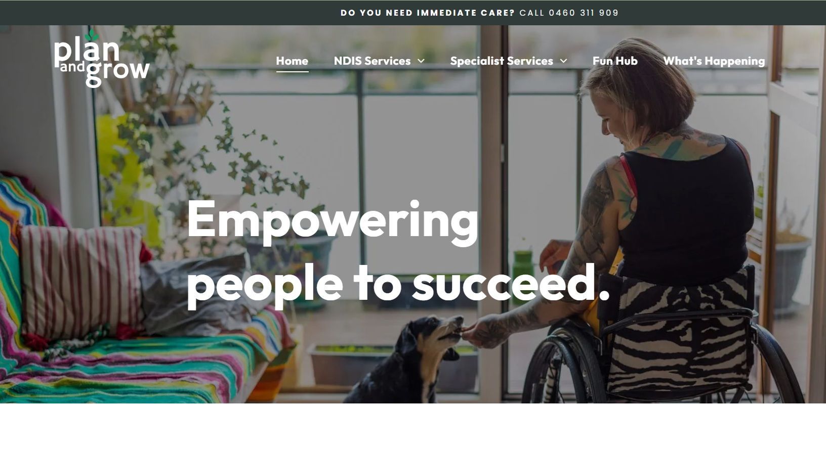 NDIS Website Examples