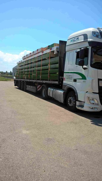 Camion per il trasporto legname