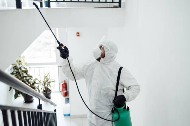 Sanitizing interior surfaces cleaning and disinfection inside buildings