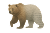 Plotting the Wild Logo - a bear with geometric and binary numbers