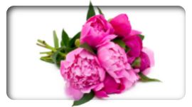 bouquet di fiori recisi, composizioni con fiori freschi, mazzo di fiori freschi