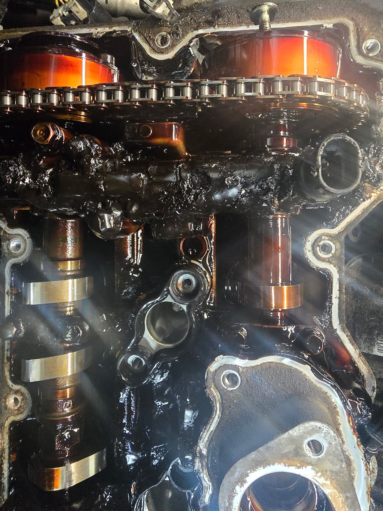Engine components coated in dark oil, showing camshaft, chain, and gears.