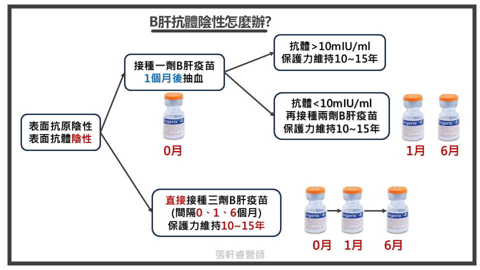 B肝抗體陰性怎麼辦? 補打疫苗流程圖