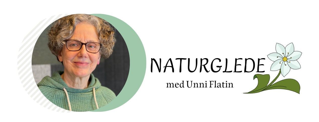 Logo for «Naturglede med Unni Løtin» med et kvinneportrett og en liten blomstergrafikk