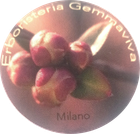 logo Erboristeria Gemmaviva Milano