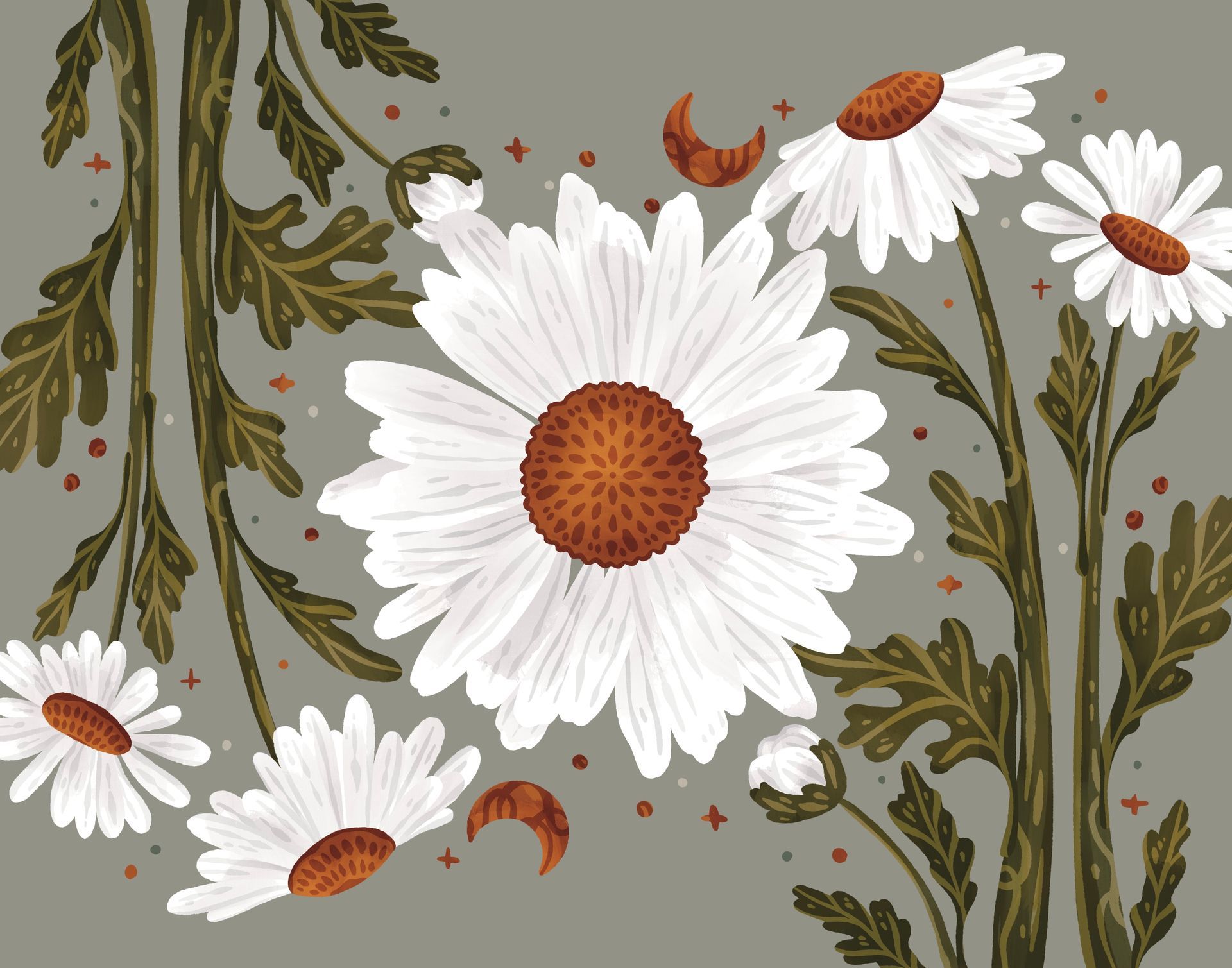 Digital art of white daisies with brown centers on a sage green background, accented with small crescent moons and stars.