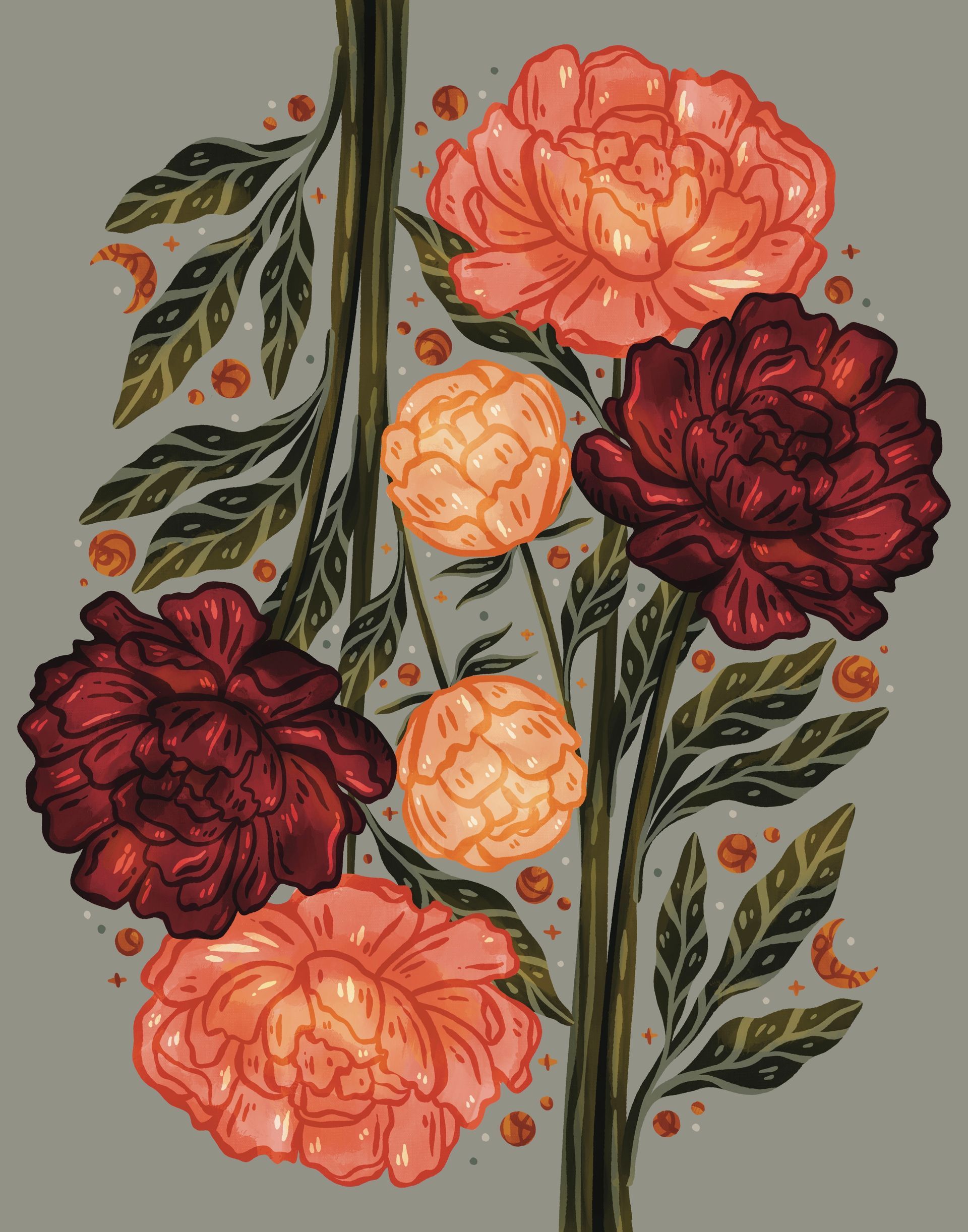 A digital illustration of blooming peonies in shades of deep red and light orange with dark green leaves on a grey ground.