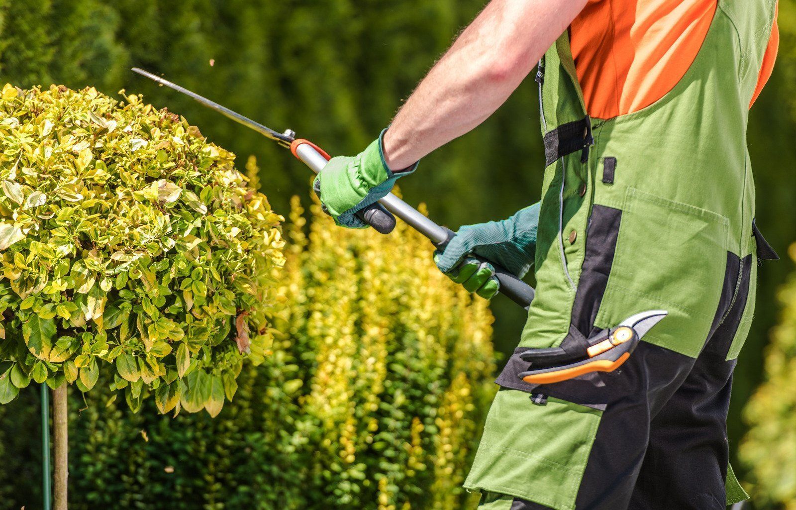 A gardener in green overalls and gloves uses long-handled shears to trim a round bush in a sunny outdoor setting.