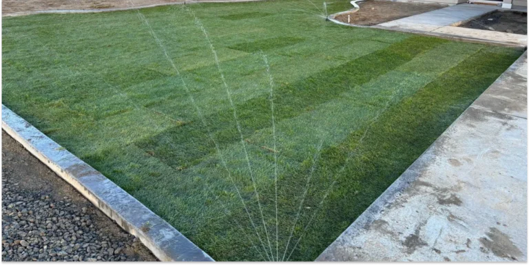 A lawn with distinct stripes of different green shades being watered by a sprinkler.