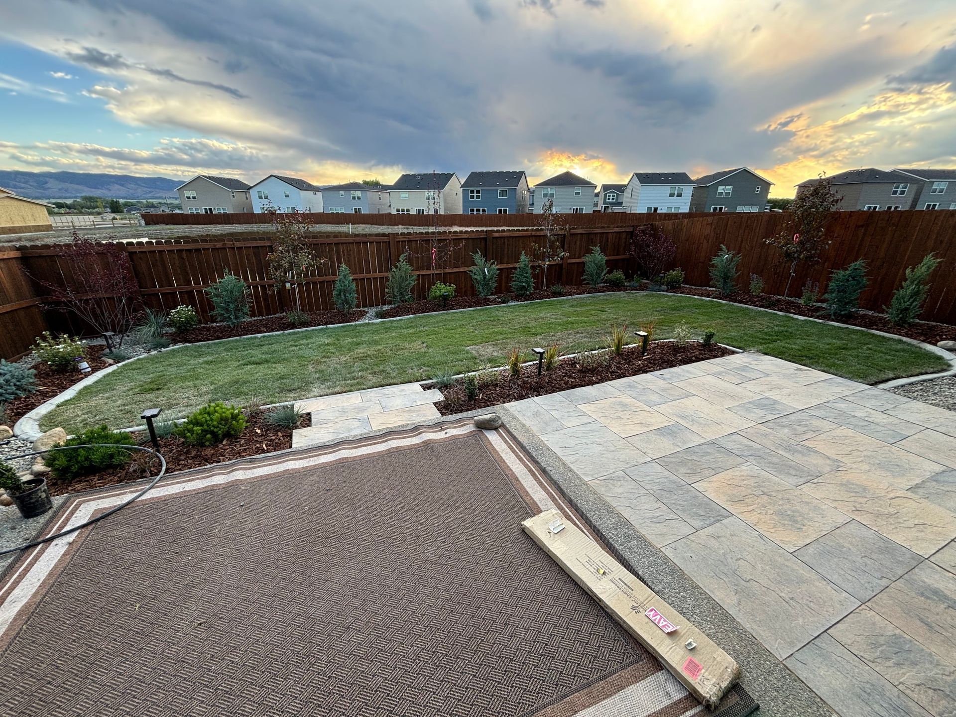 A backyard with a stone patio, an outdoor rug, a green lawn, and a row of small trees against a wooden fence at sunset.