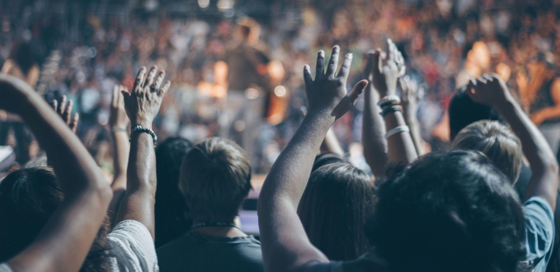 A shot of a crowd from behind, they have their arms in the air cheering on a performer