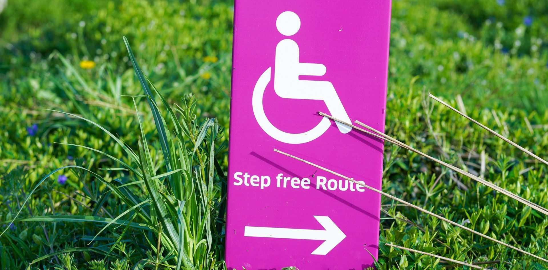 A pink accessibilty sign in the grass