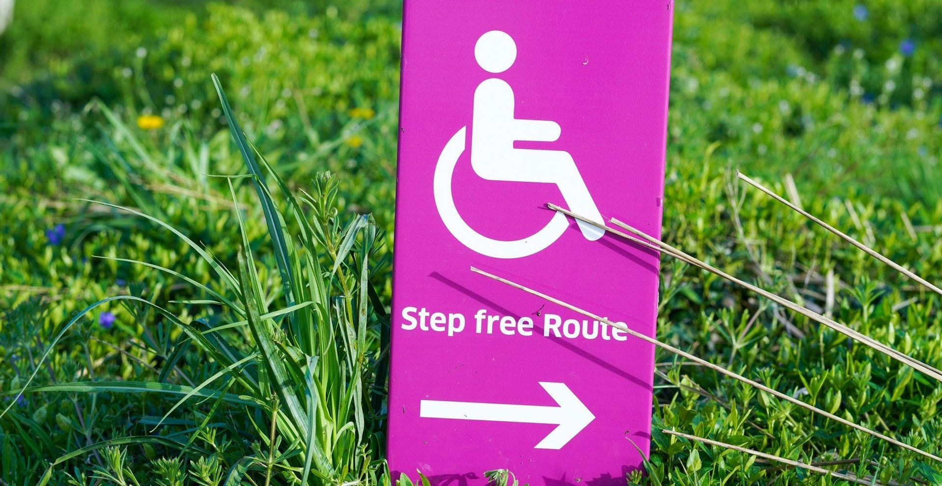 There's a grass field with a step free route sign on it. It's bright pink and has a wheelchair user on it. 