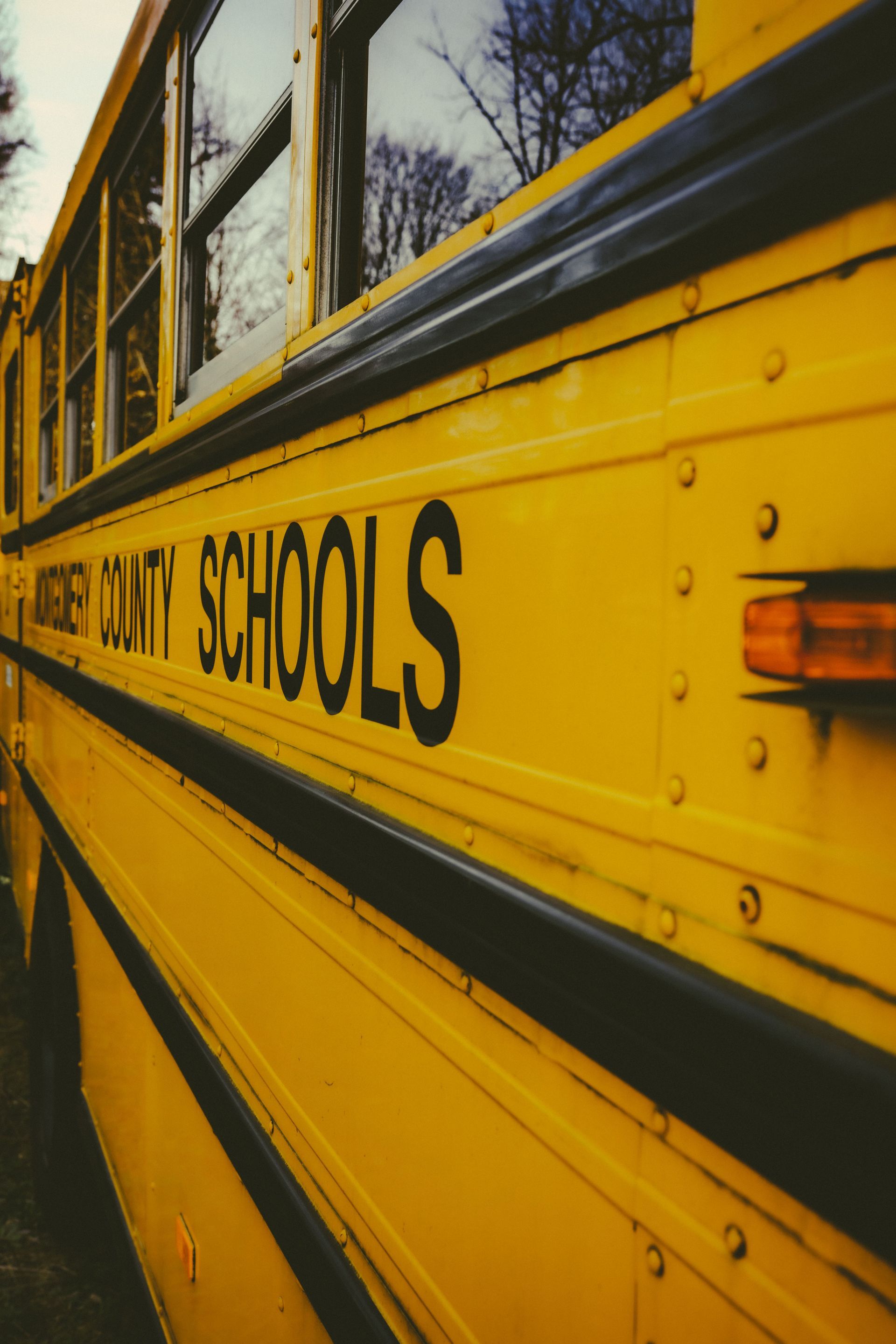 public school