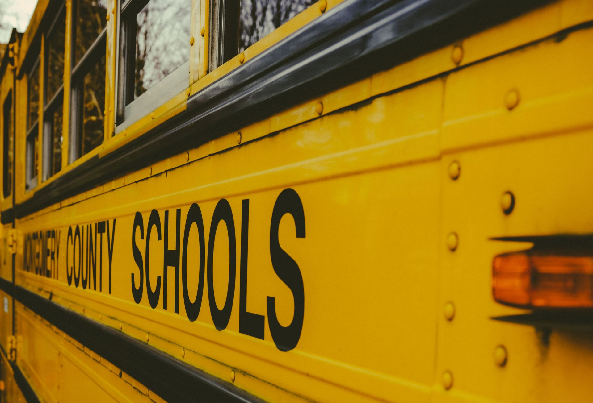 public school
