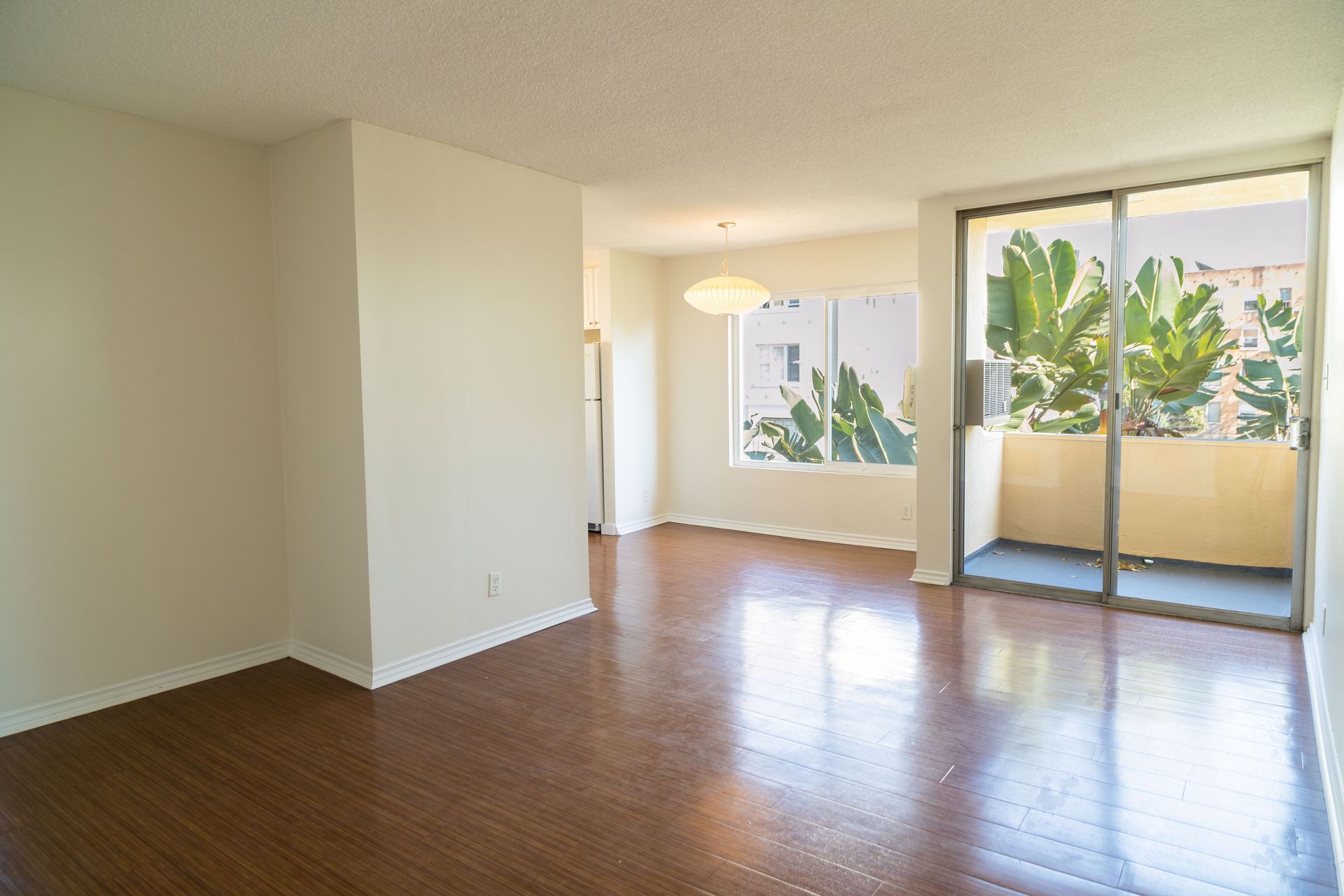 Hollywood Colony, Studio - Image 3