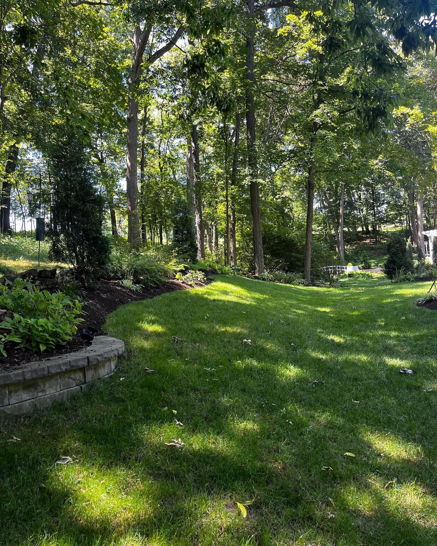 Lush green backyard with a lawn, garden bed, and trees under a sunny sky.
