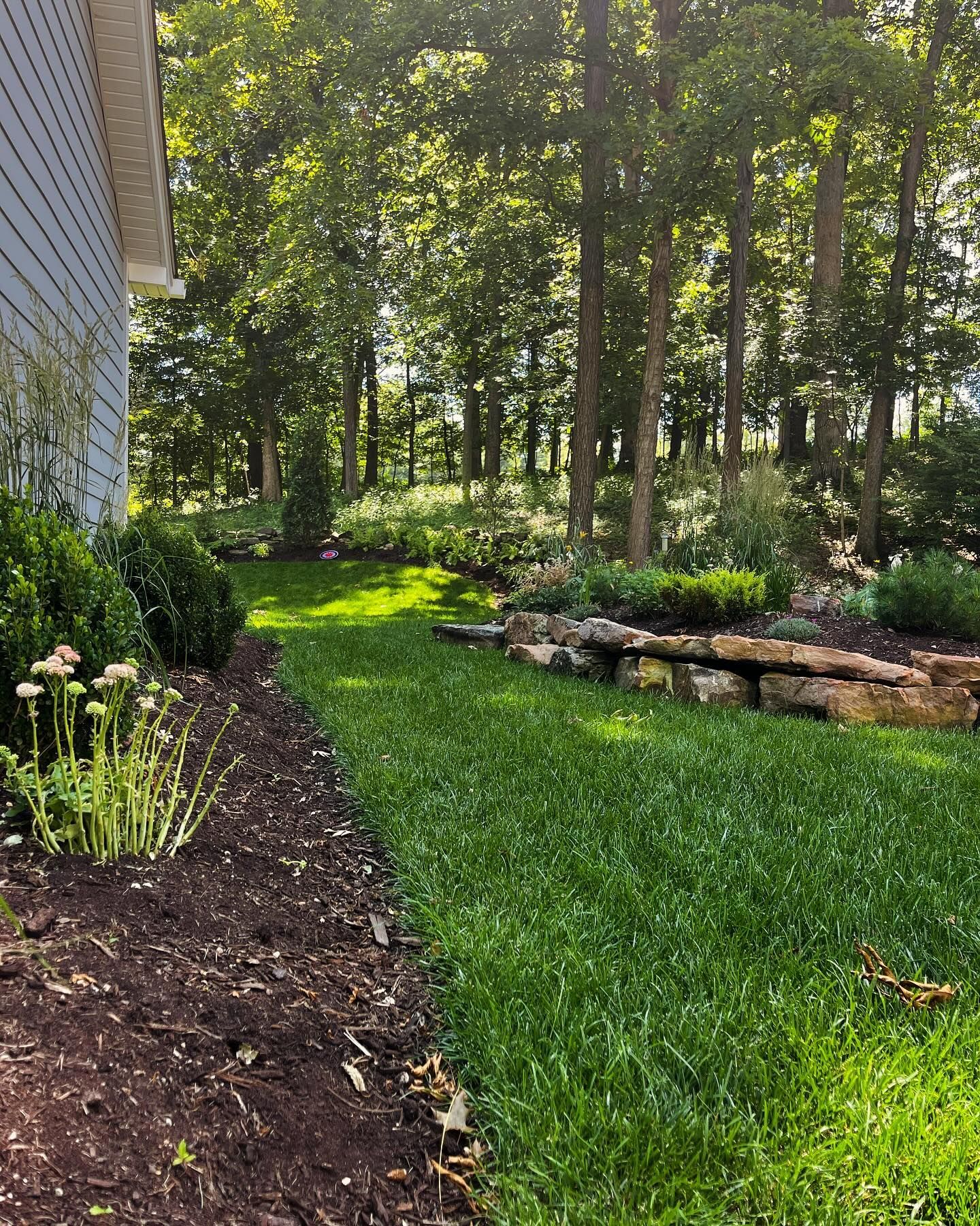 Lush green lawn borders a garden with trees, a rock wall, and a light blue house siding. Sunlight filters through the trees.