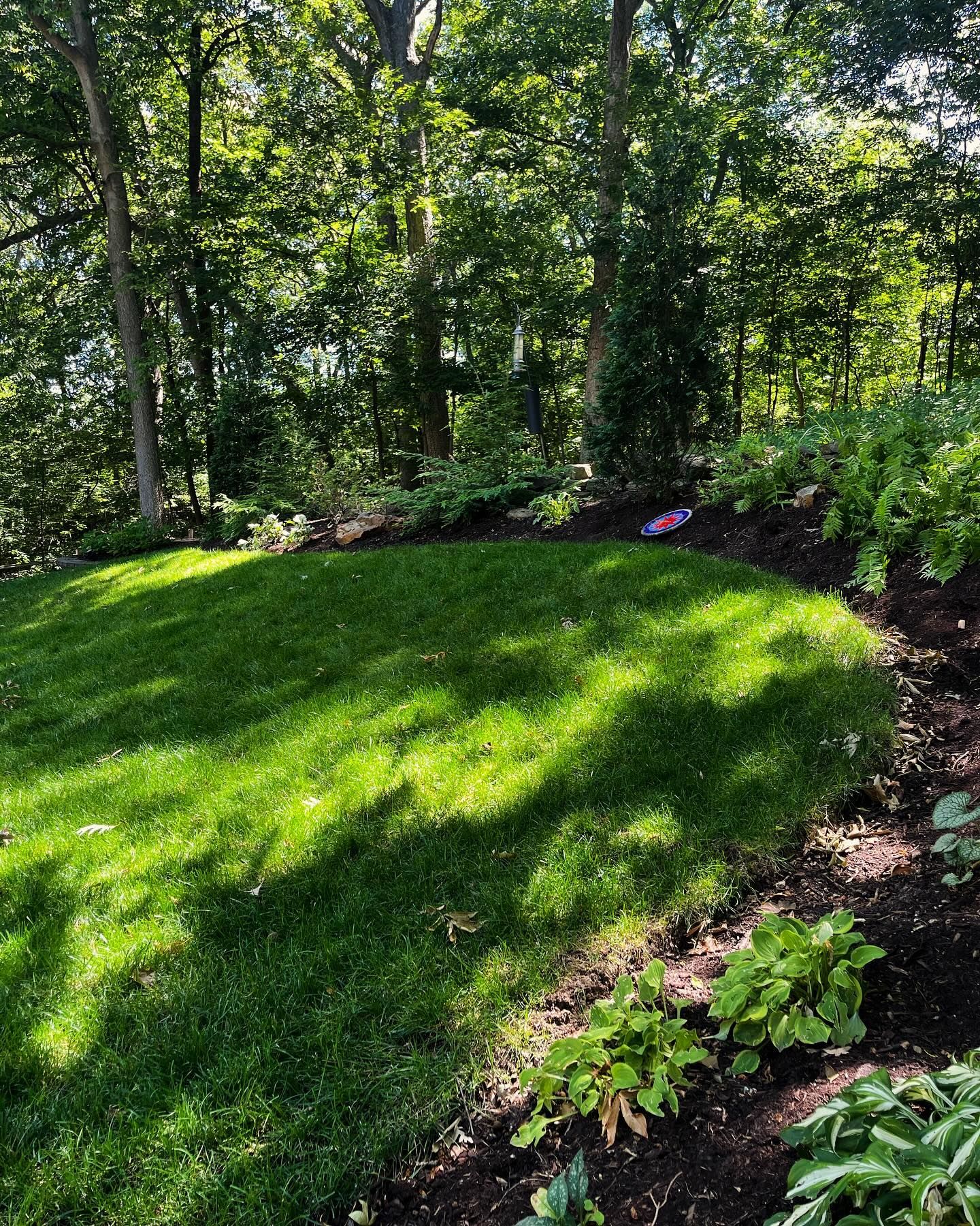 Lush green lawn surrounded by a bed of plants and forest in the background. Sunlight casts shadows across the grass.