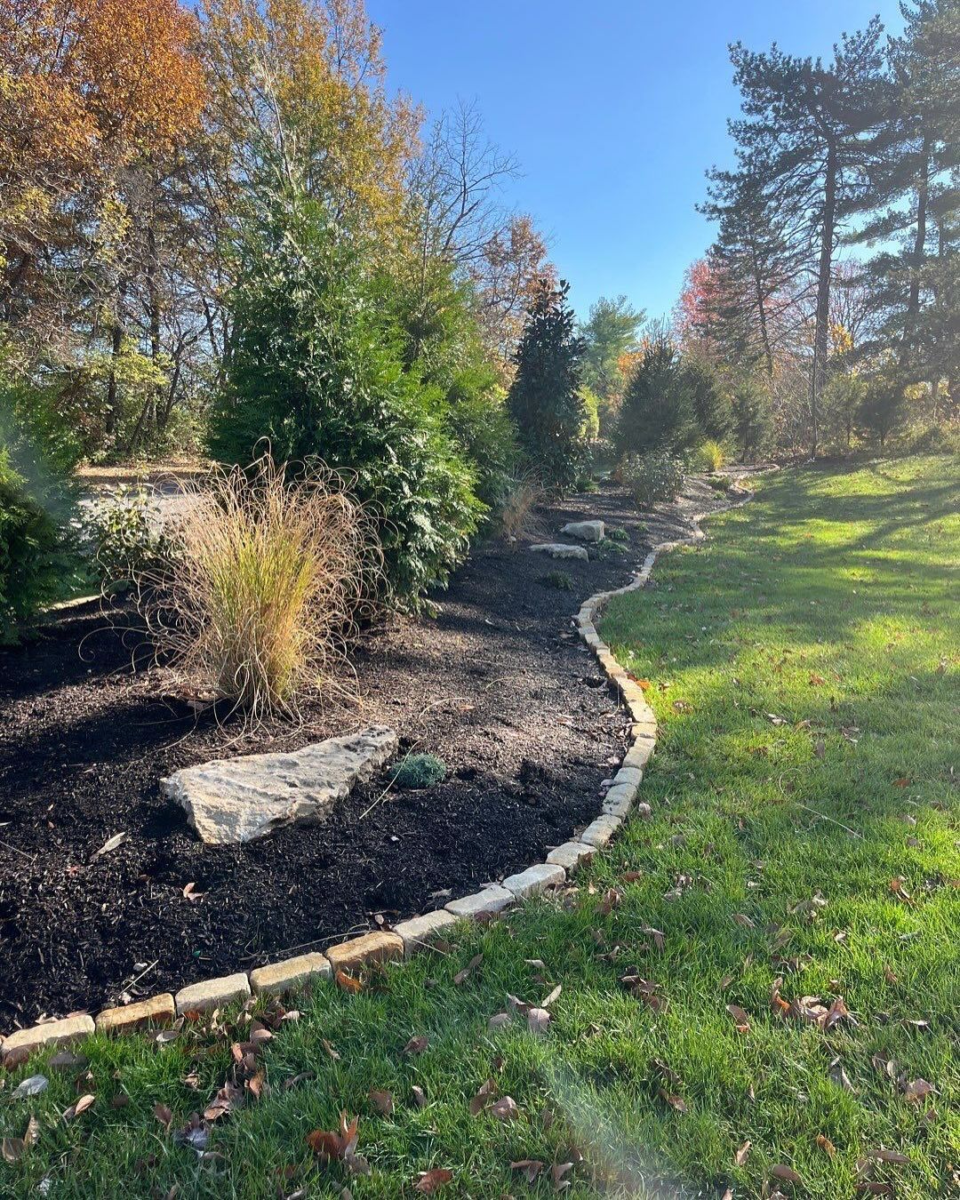 A landscaped garden bed with dark mulch, edged by light-colored bricks, and bordered by green grass.