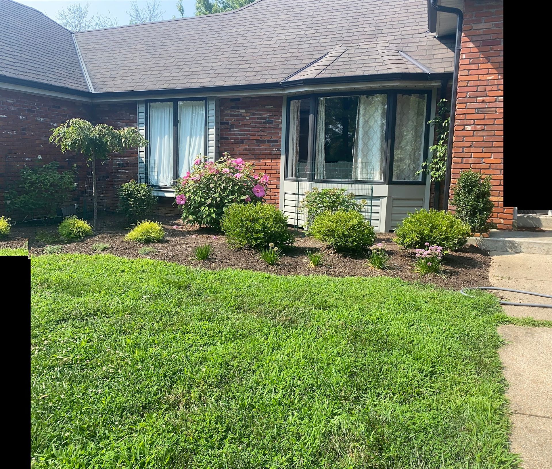 A brick house with a lawn and a garden with bushes and flowers. The windows are flanked by bushes and trees.