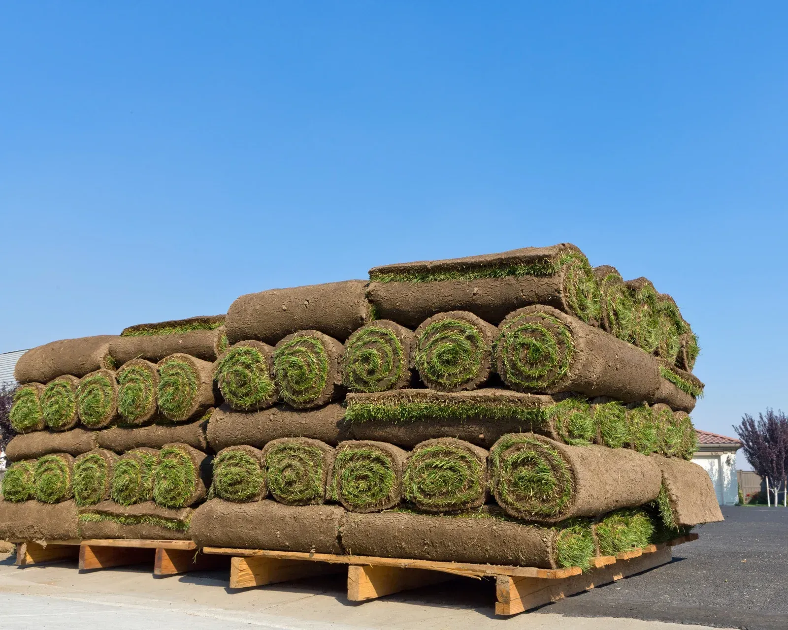 Pallet stacked with rolled sod, ready for installation, against a blue sky.
