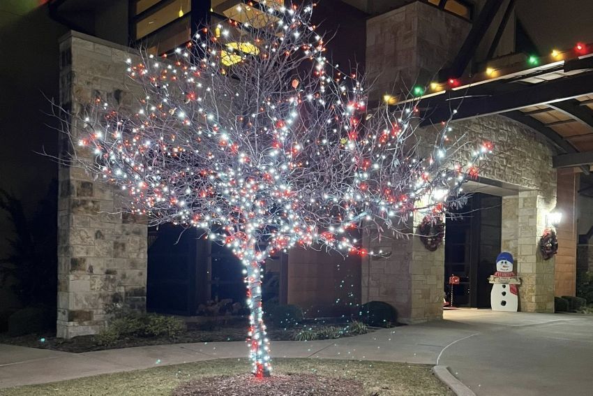 Tree covered in red and white Christmas lights in front of a stone building entrance.