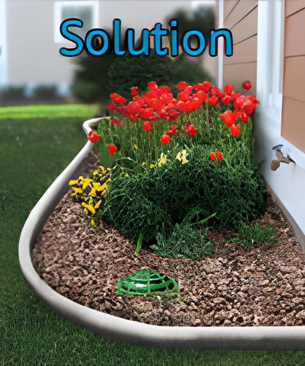 A picture of a garden with the word solution above it