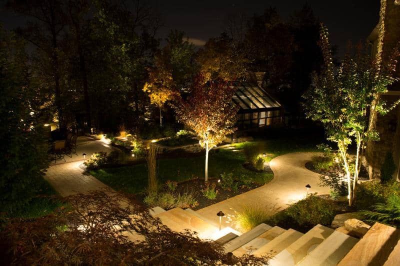 a garden with lots of plants and trees is lit up at night .