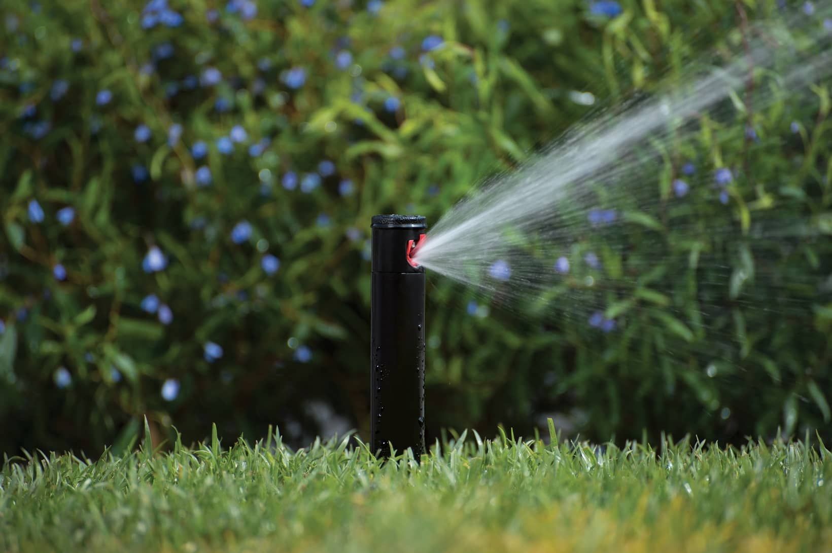 A sprinkler is spraying water on a lush green lawn.