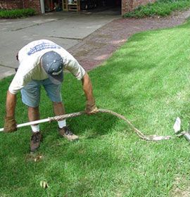 A man is kneeling in the grass holding a sprinkler line.