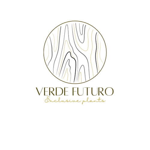 Een logo voor een bedrijf genaamd verde futuro exclusive plants