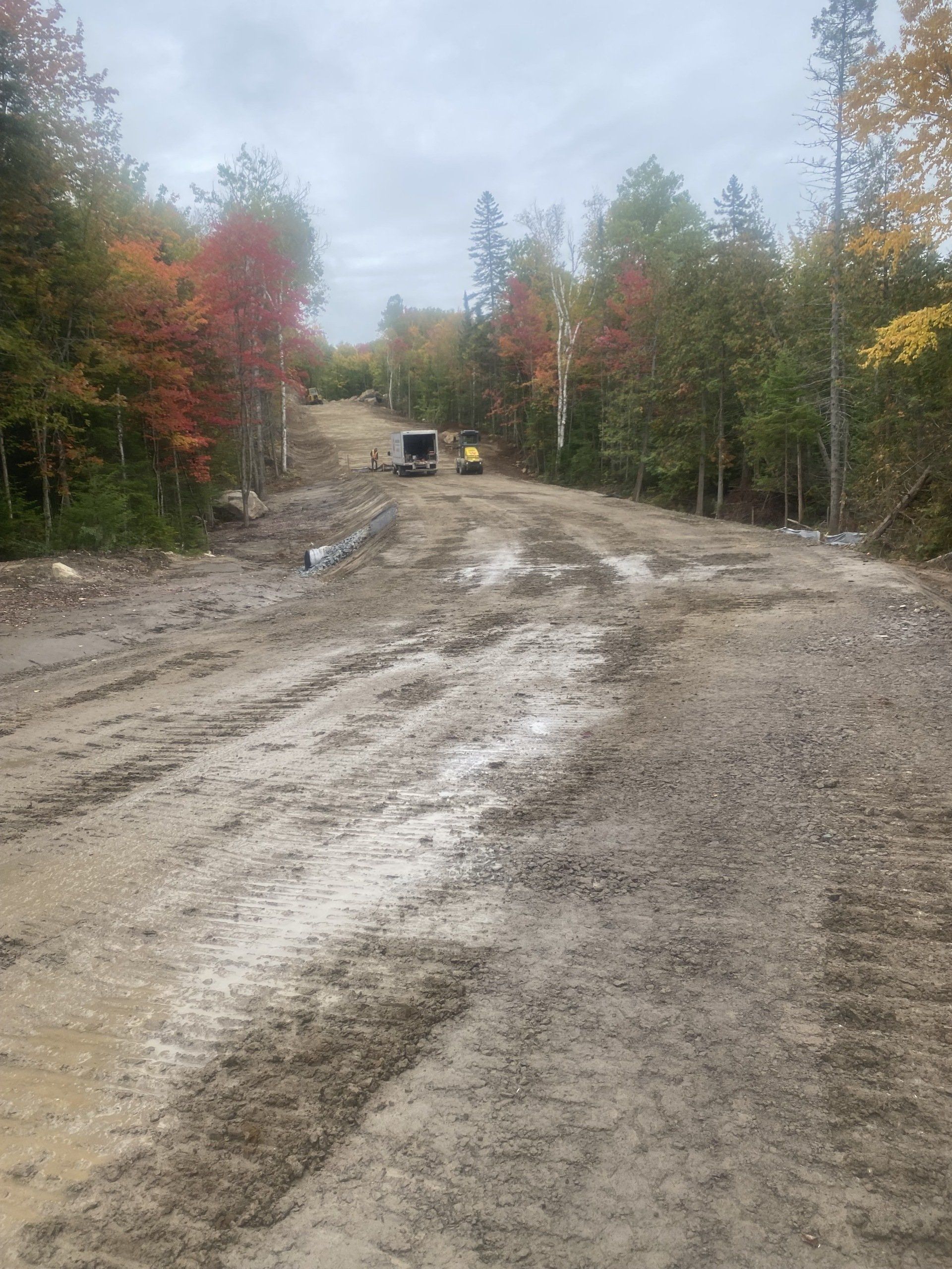 une route boueuse au milieu d une forêt avec des arbres en arrière-plan.