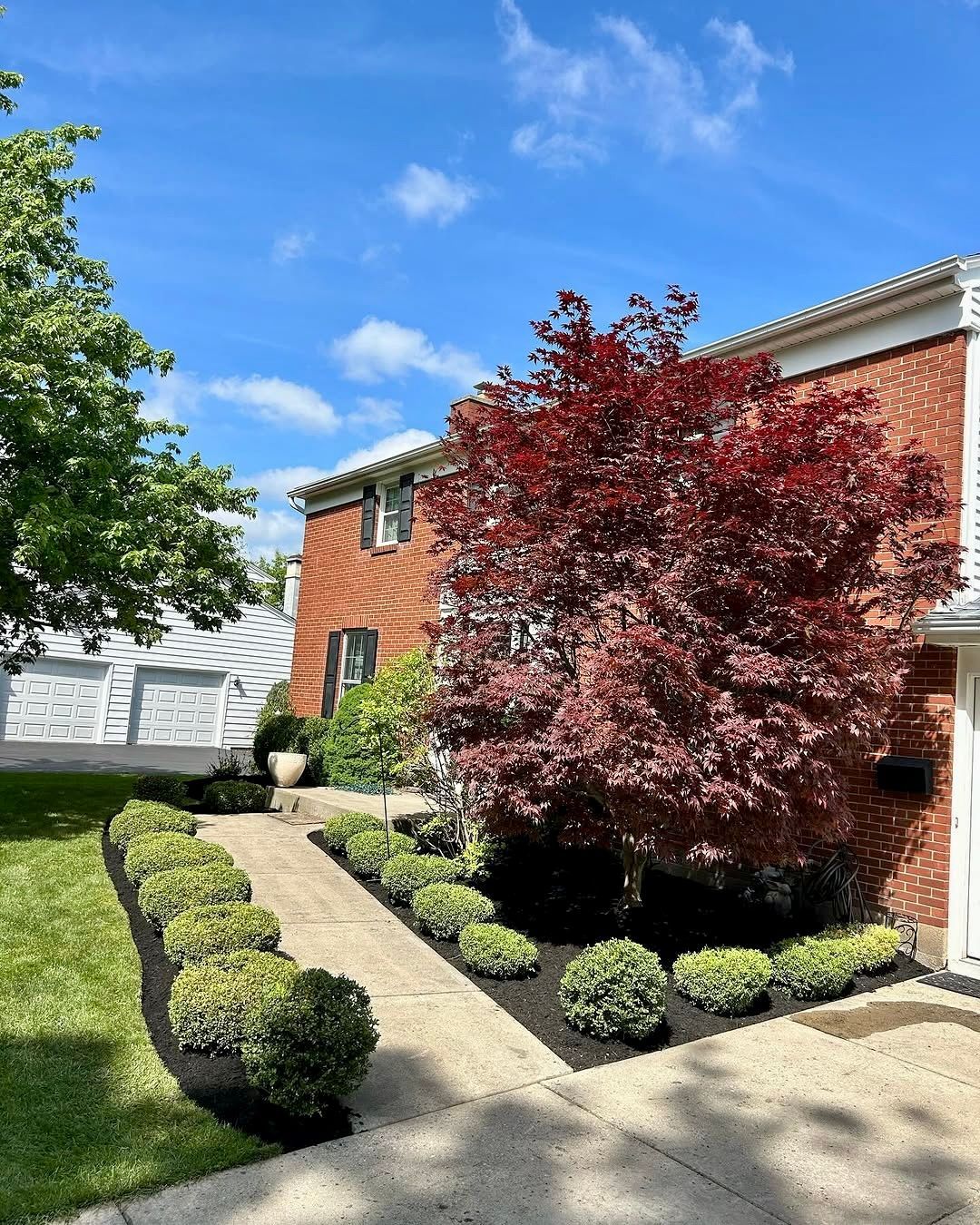 A brick house with a walkway leading to it and a tree in front of it.