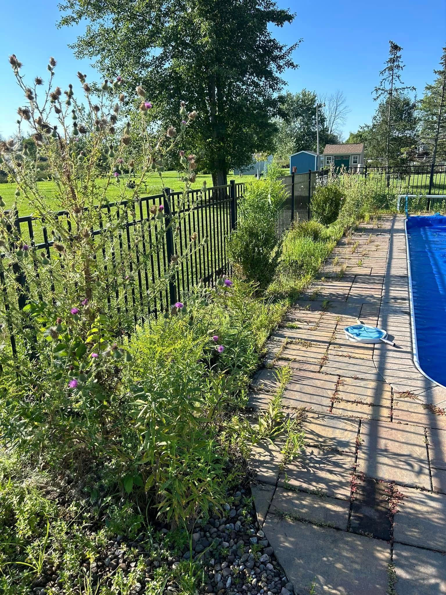 A swimming pool is surrounded by a lush green garden and a fence.