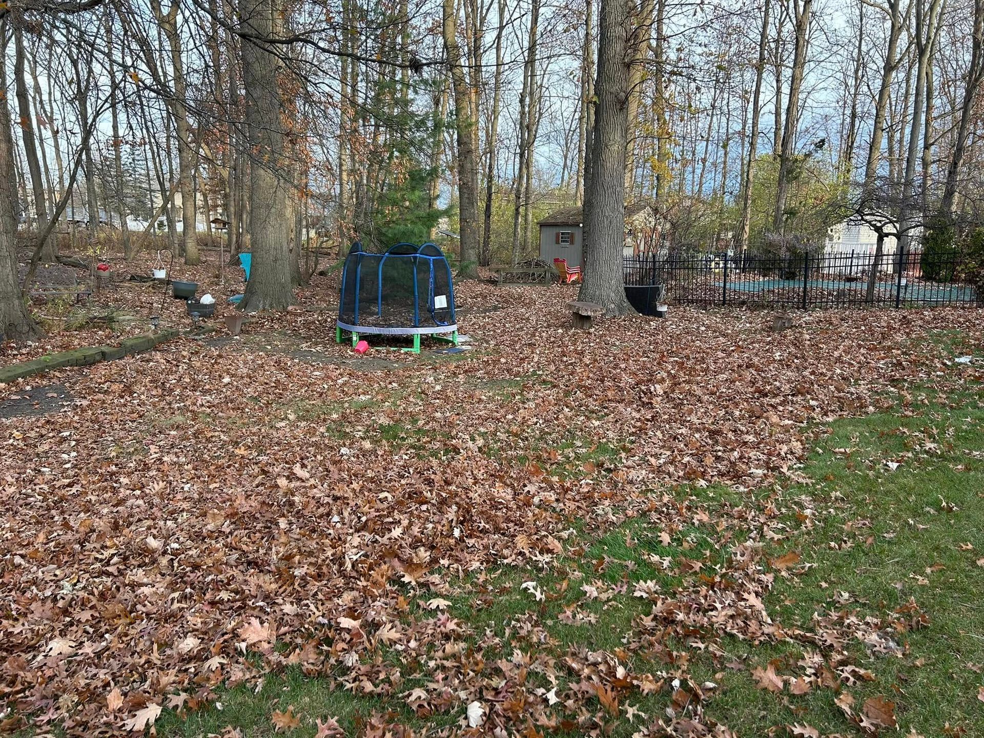 A trampoline is sitting in the middle of a field covered in leaves.