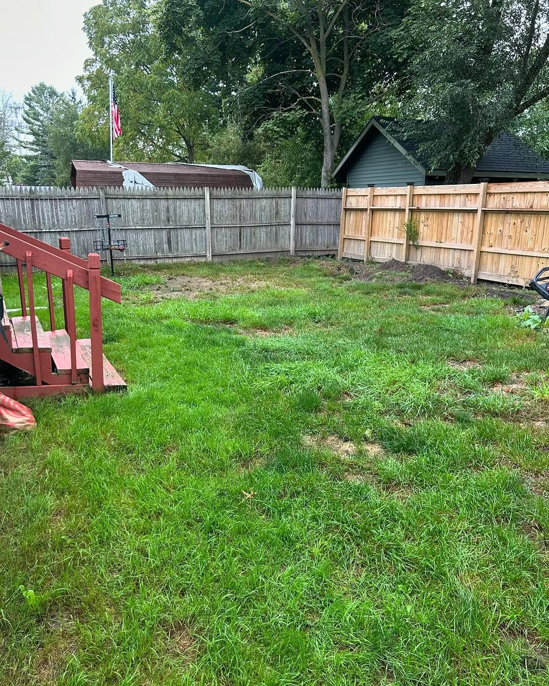 overgrown lawn