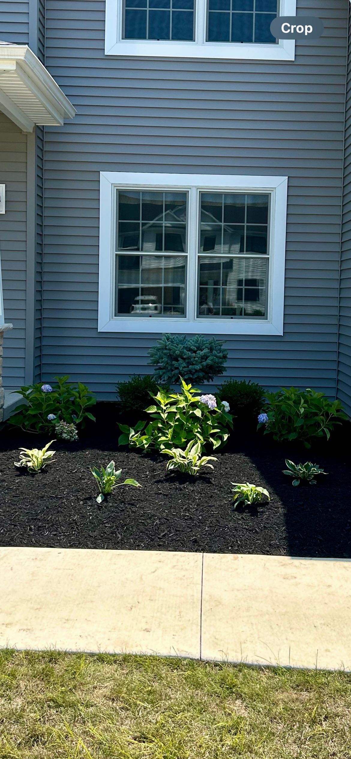 A house with a lot of plants in front of it and a window.