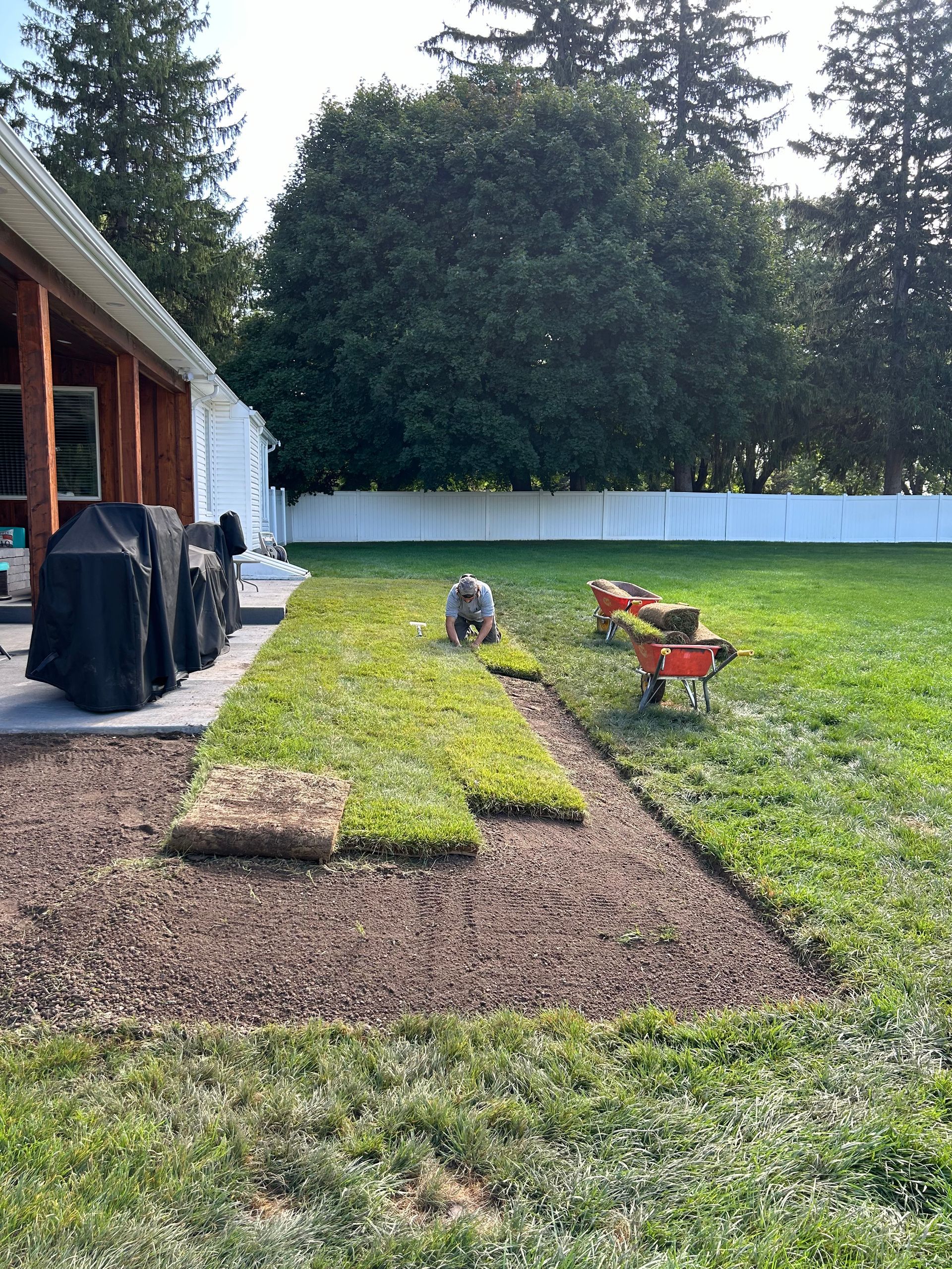 A lawn with a wheelbarrow in the middle of it and a house in the background.