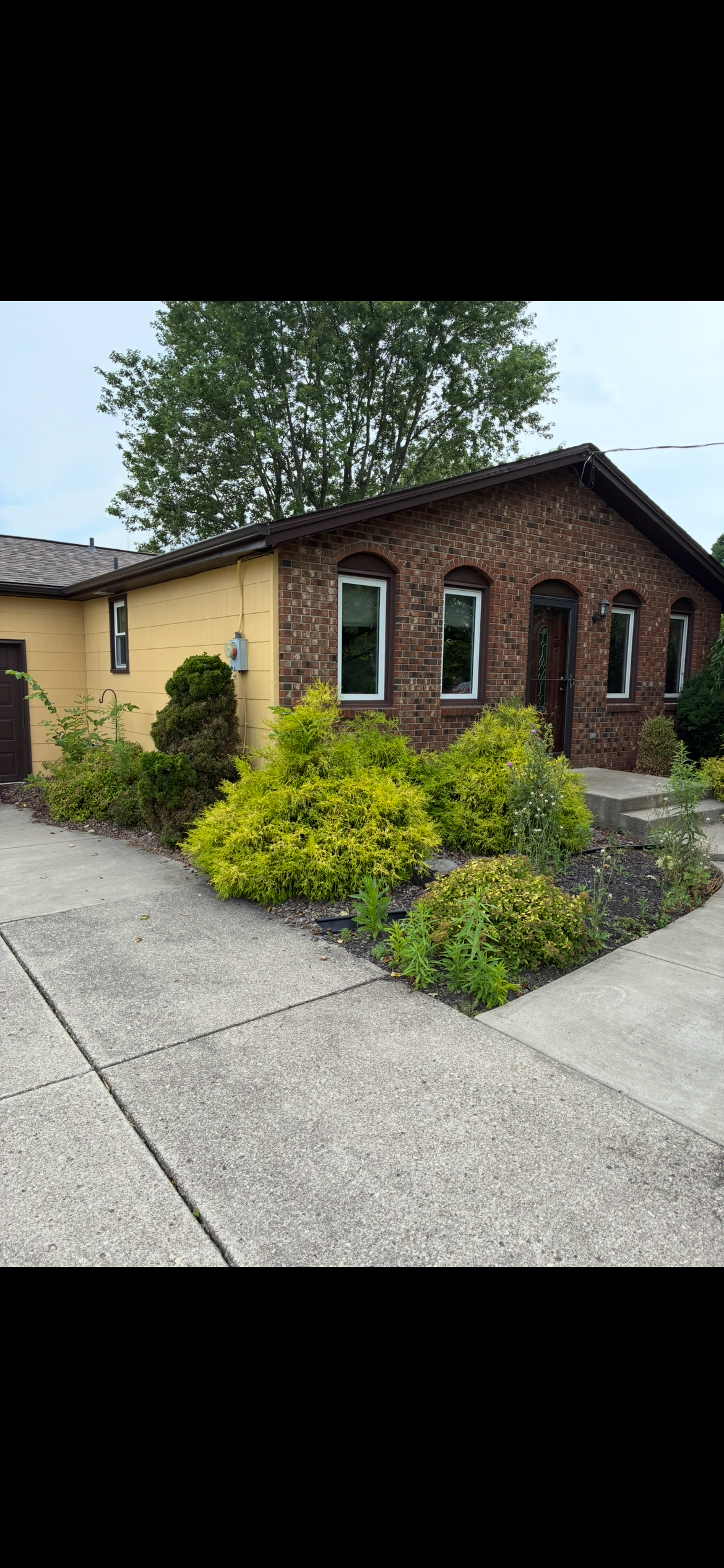 A swimming pool is surrounded by a lush green garden and a fence.
