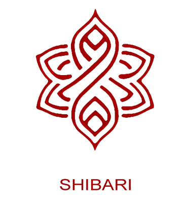 Sacred Tie Logo