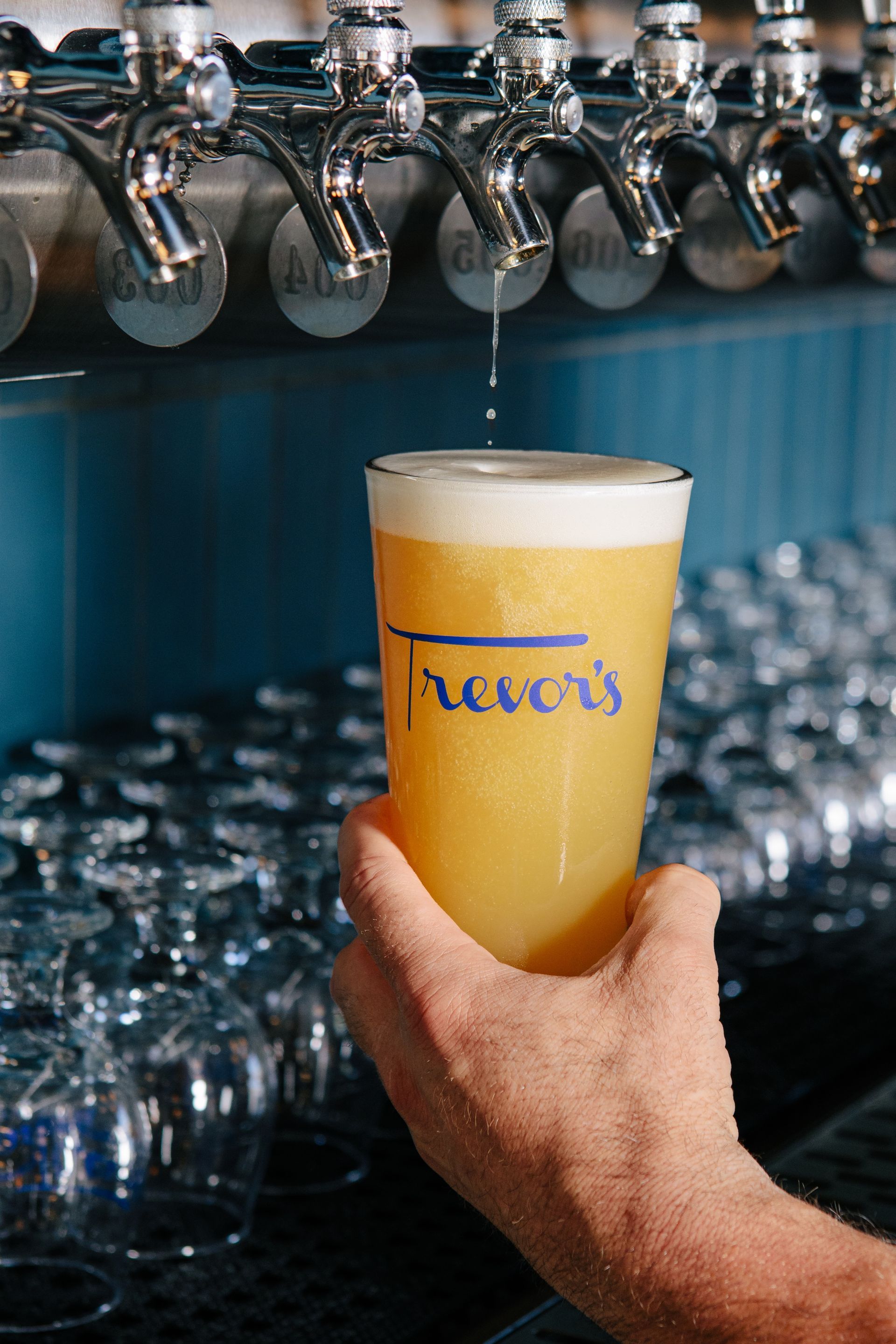 Trevor's Liquor Store Phoenix craft beer bar