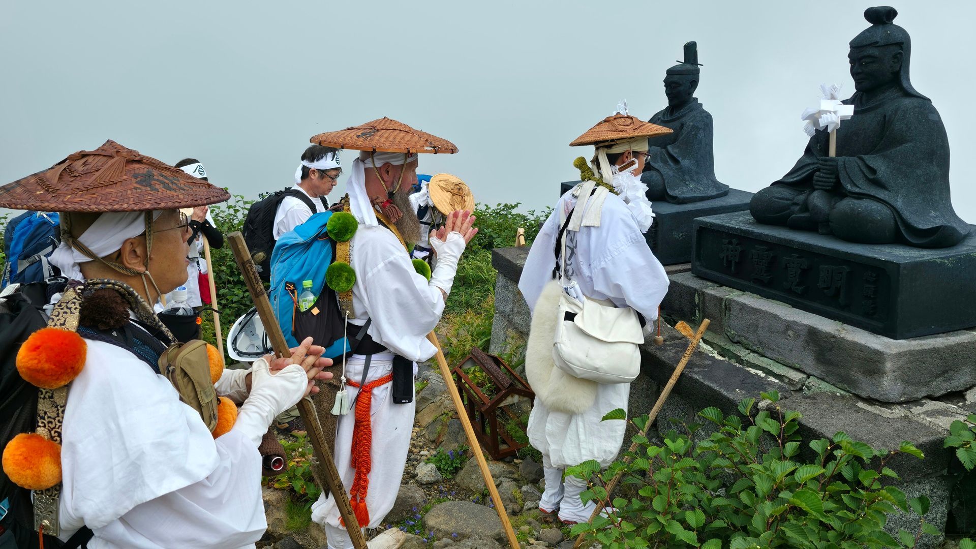 Wellness World Media