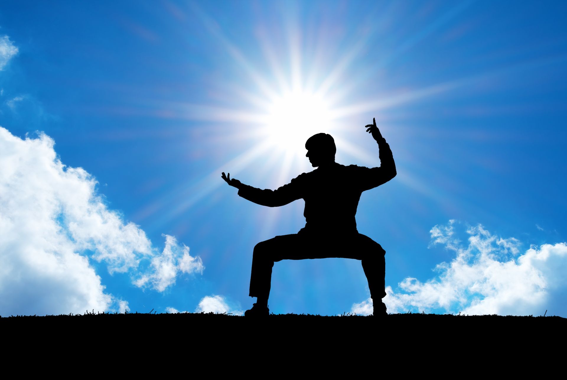 The Martial Path to Balance: Strengthening Body, Mind, and Character