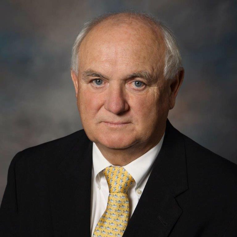 A man in a suit and tie is looking at the camera