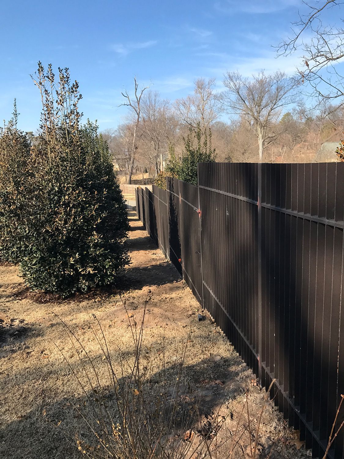Brown wooden fence with a narrow path lined with shrubs and trees under a blue sky.